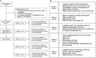 Using two-step cluster analysis to classify inpatients with primary biliary cholangitis based on autoantibodies: A real-world retrospective study of 537 patients in China